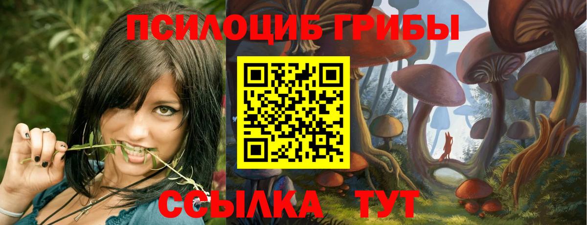 Муравленко  Галлюциногенные грибы MAGIC MUSHROOMS  Вход с VPN 