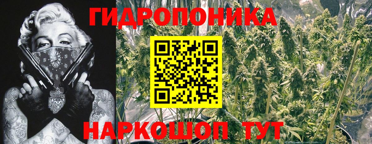 Канабис тримм  Канабис индика  Вход с VPN  Конопля SATIVA & INDICA  Муравленко 